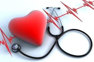 Imagen ilustrativa del artículo Propiedades y funciones del selenio, para proteger al corazón